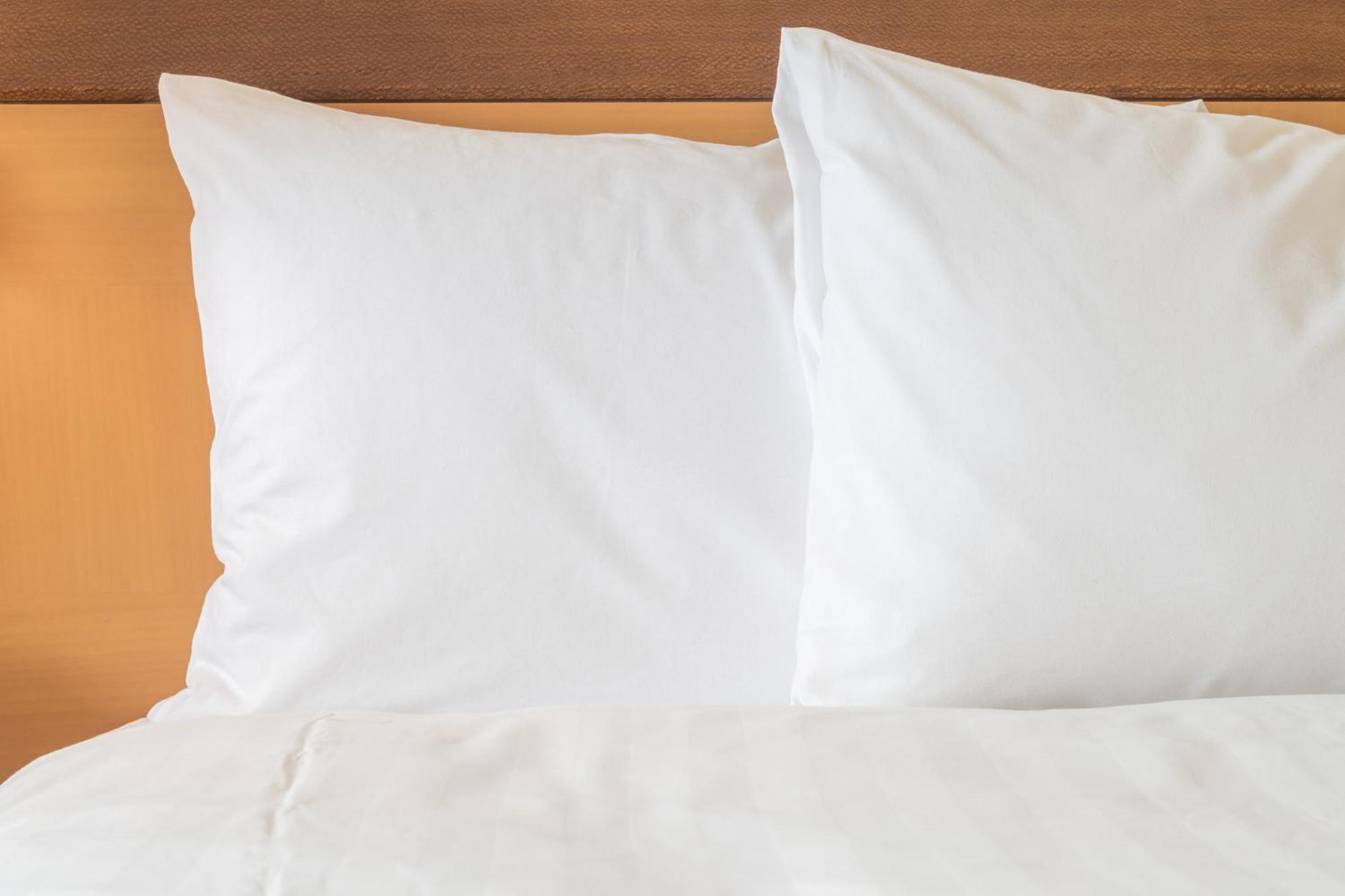 Holiday Inn Express & Suites - Dawsonville By Ihg Eksteriør billede